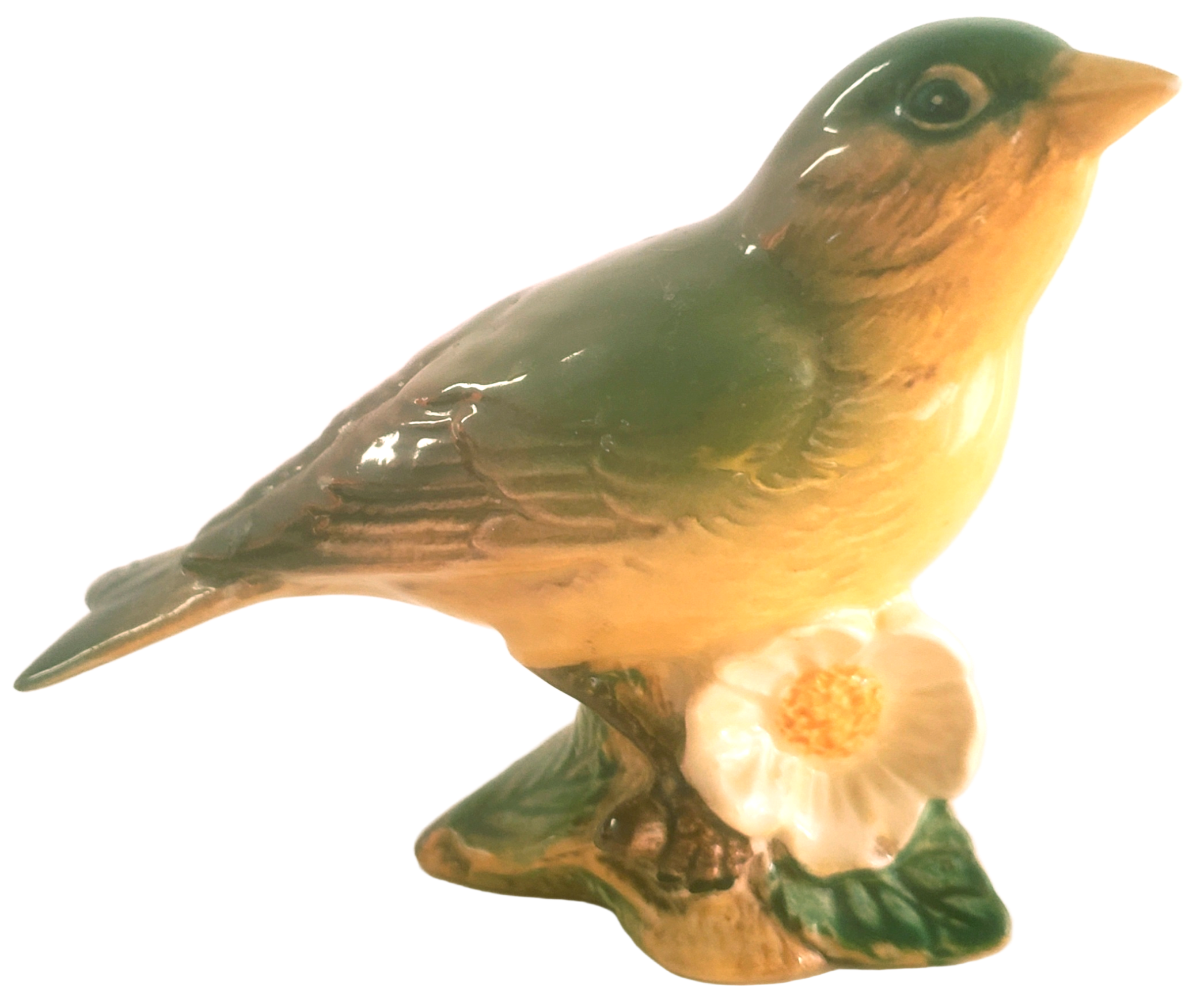 Greenfinch